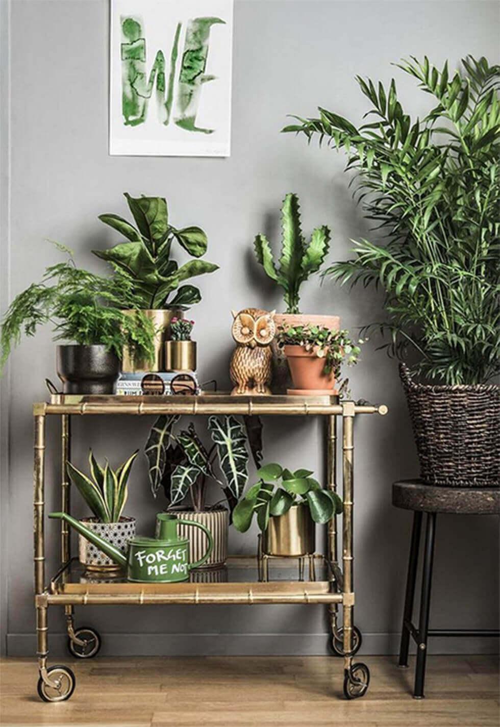 Rolling cart filled with several pots of plants and home decor.