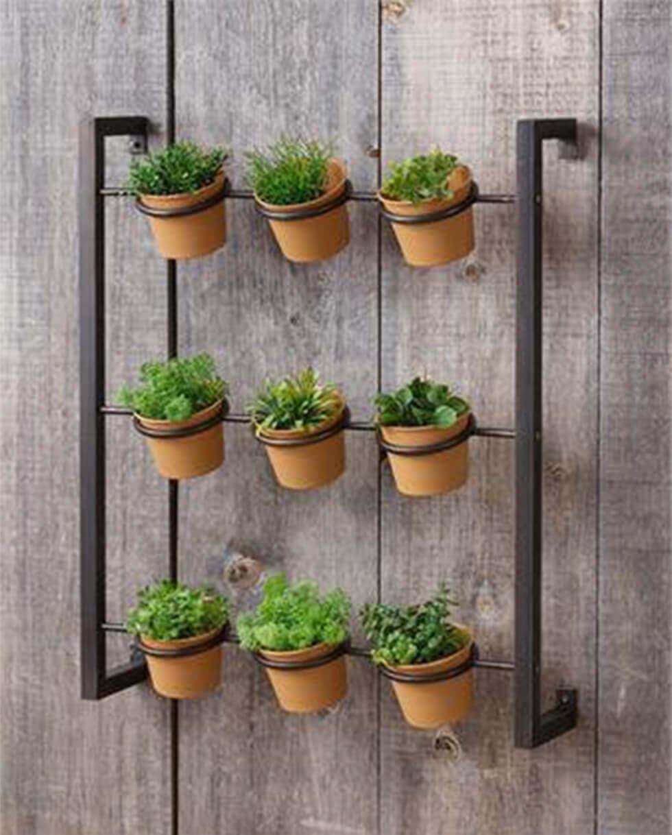 Wall-mounted herb garden on a wood pallet wall.