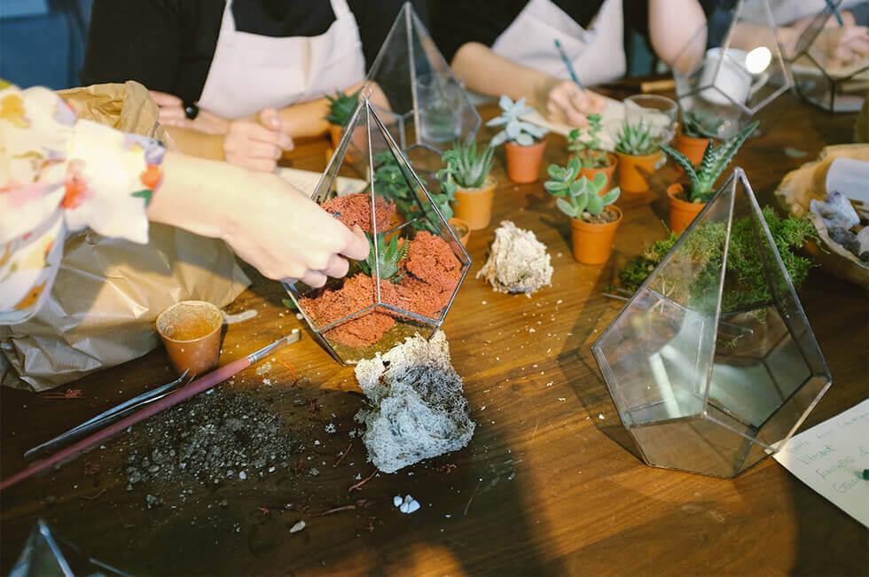 Glass terrariums being filled with soil and succulents.