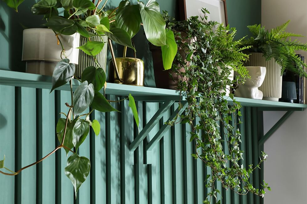 Plant wall with open shelves as a living room feature wall