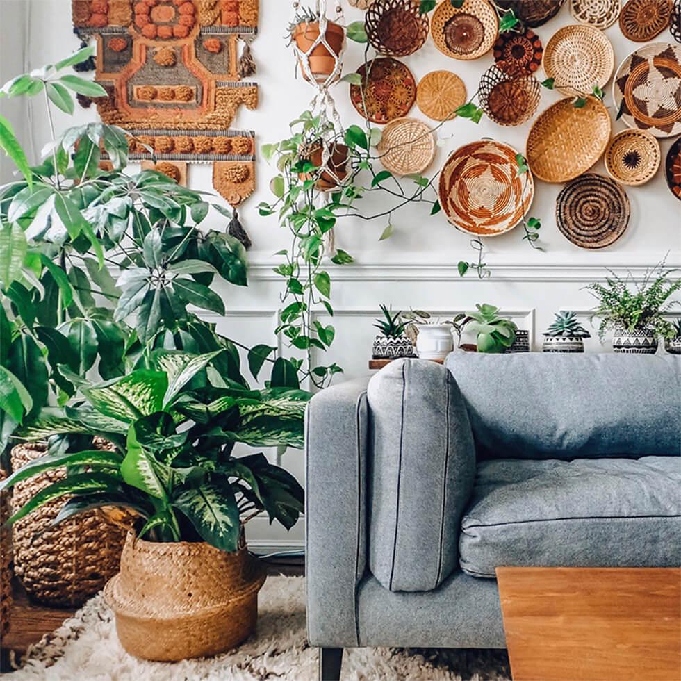 Trailing and potted plants in a neutral modern boho interior