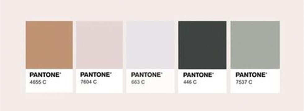 neutral colour palette board