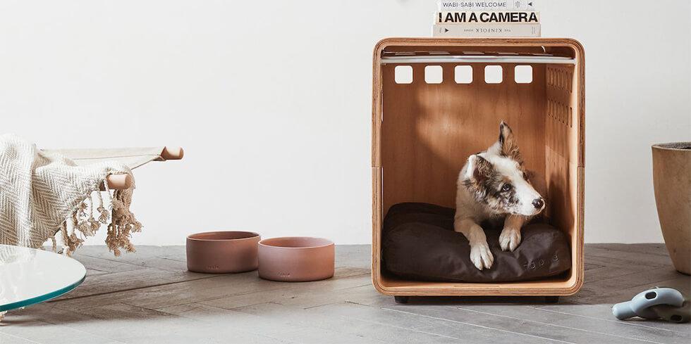 Cute dog in a stylish dog crate