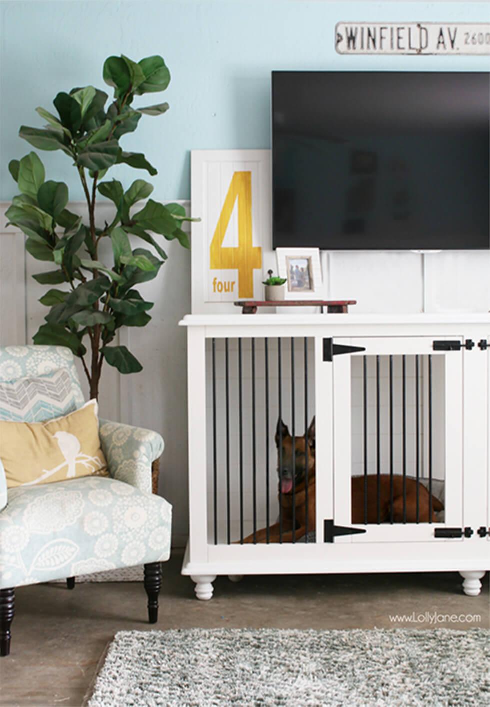 Dog in a functional crate in a dog-friendly living room