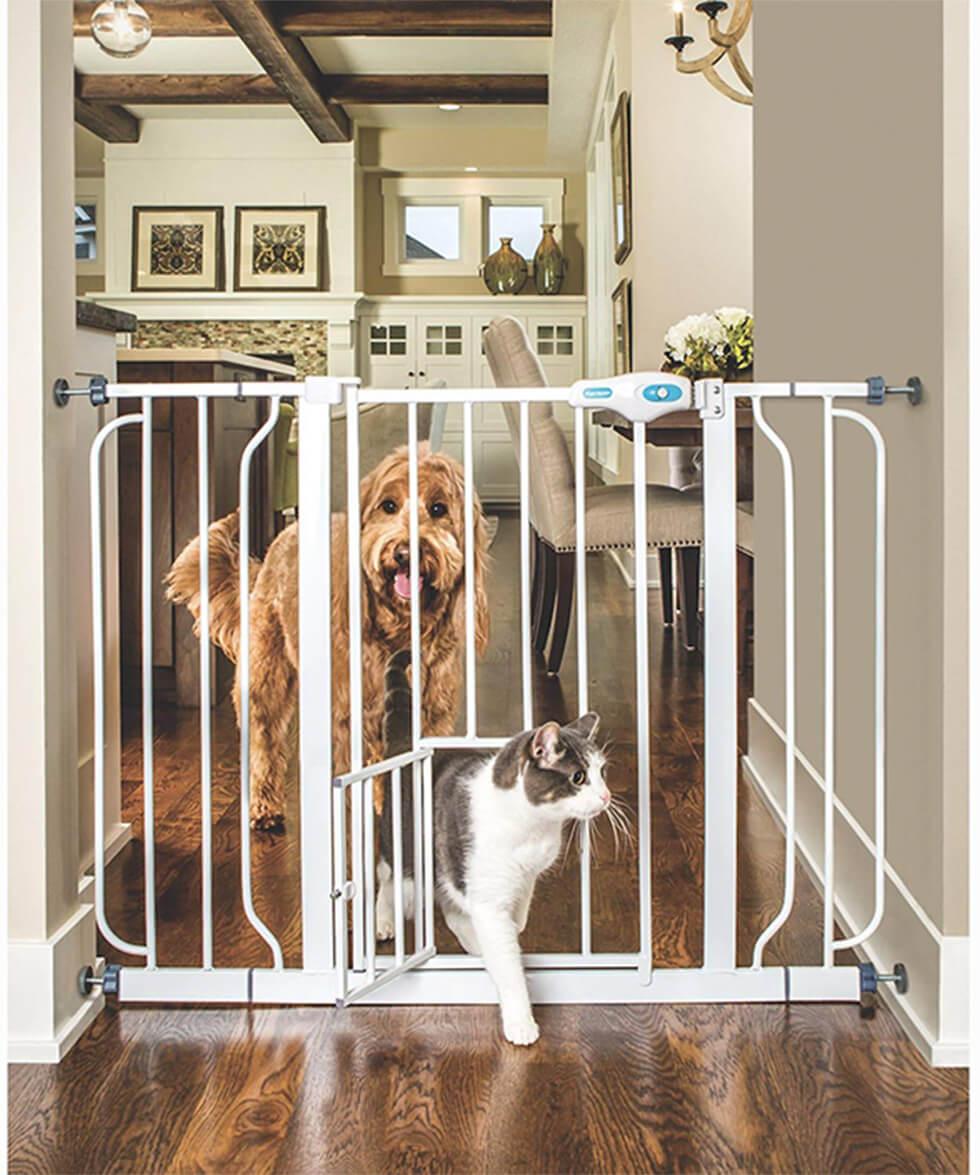 Cat and dog in front of a small gate in the kitchen.