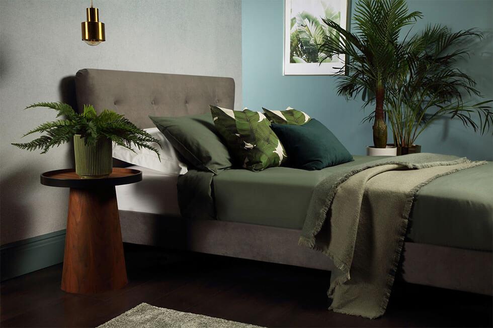 Grey bedroom with green feature wall and lots of indoor plants