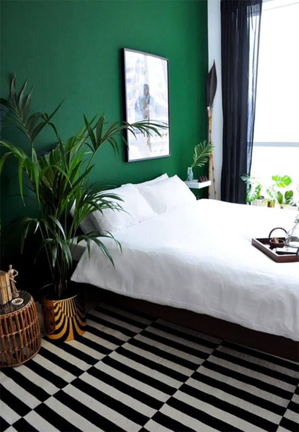 Modern bedroom with green feature wall, statement striped rug and large plants