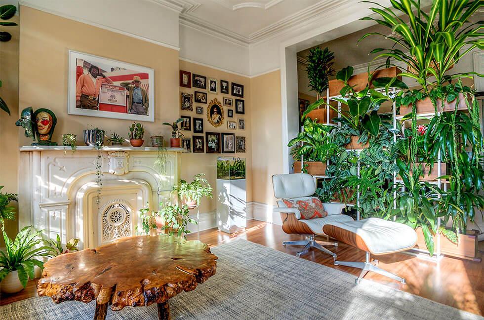 Boho inspired living room filled with many types of plants