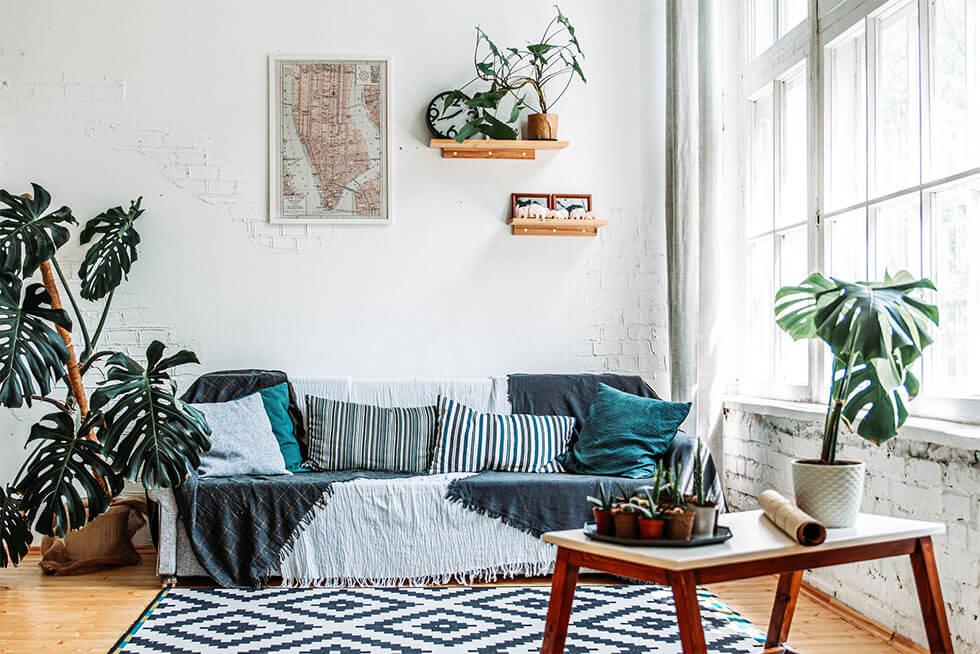 Living room with blue sofa, patterned rug and indoor plants