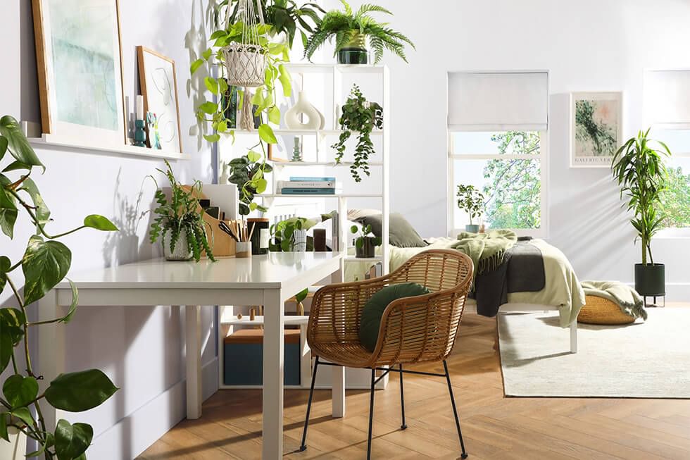 Home office with lots of indoor plants