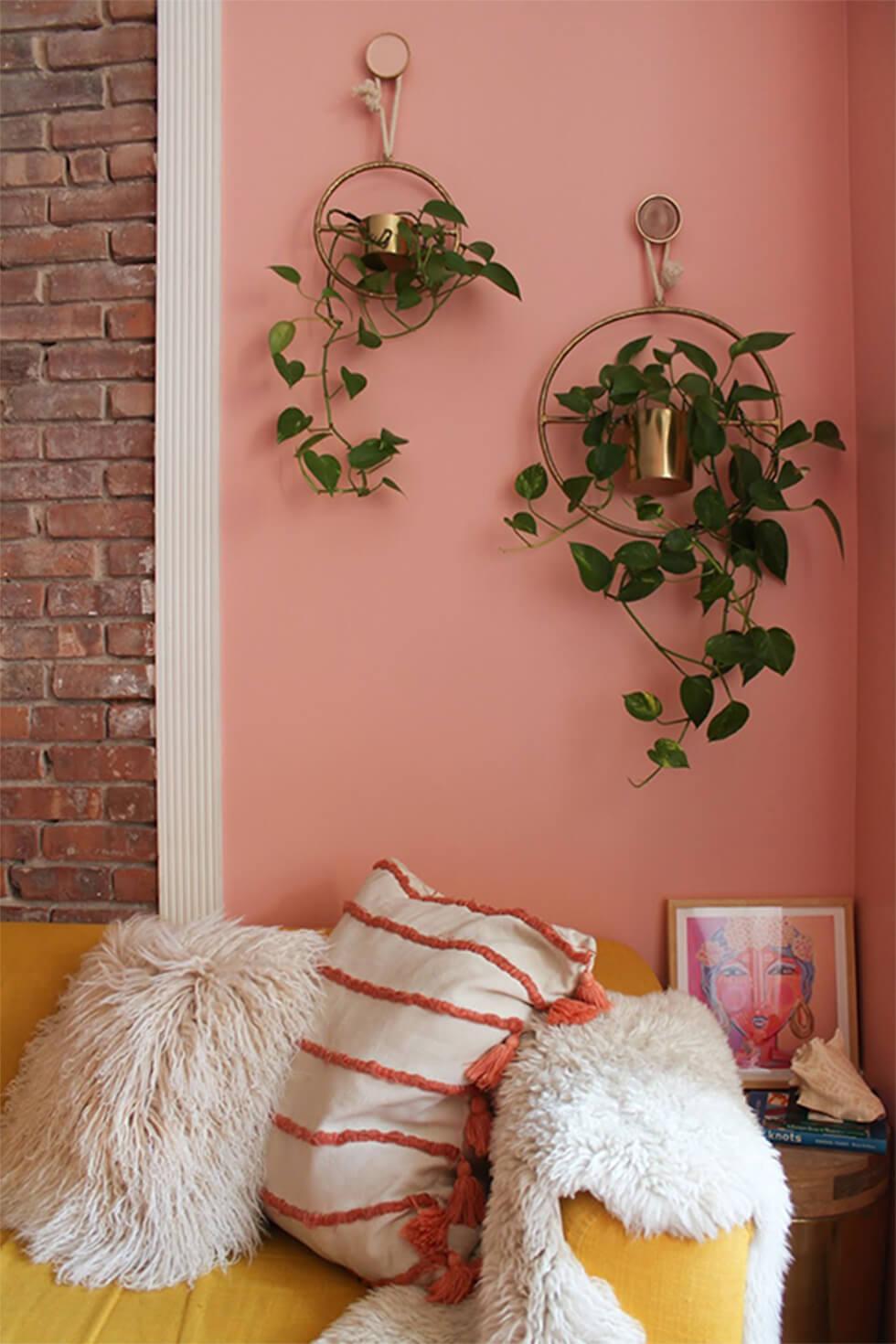 Peach walls in west-facing living room