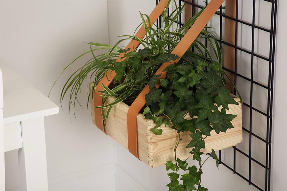 Step 5 - Place your plants inside the pots