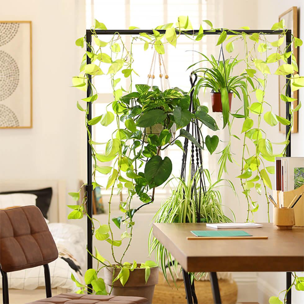 DIY plant room divider