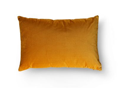 Mustard Velvet Cushion - Chalk