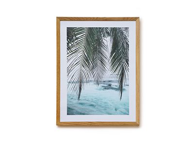 Ocean Palm Poster - Desenio