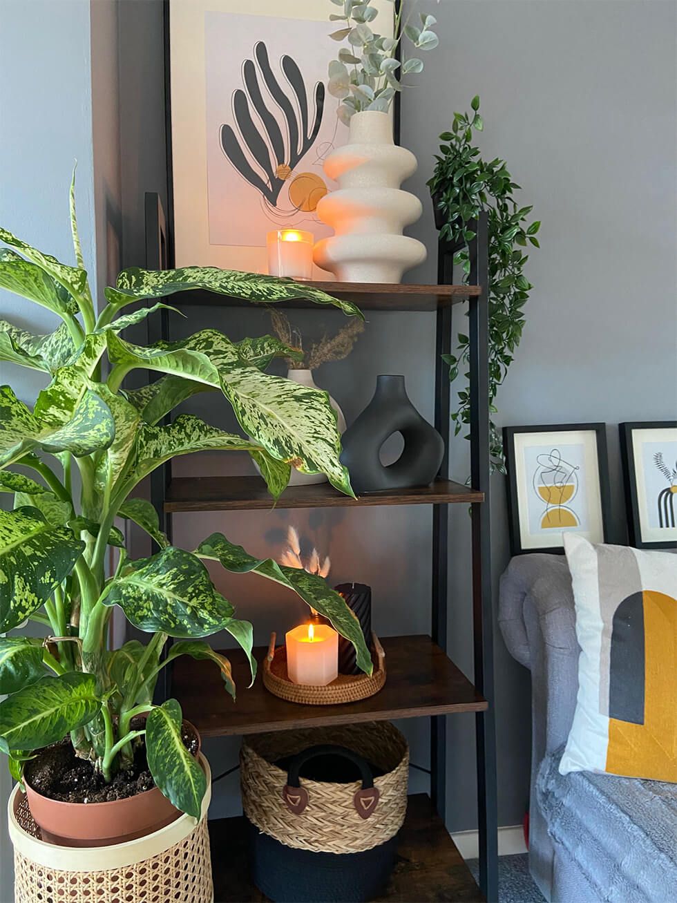 A shelving unit with vases and artwork next to a potted plant