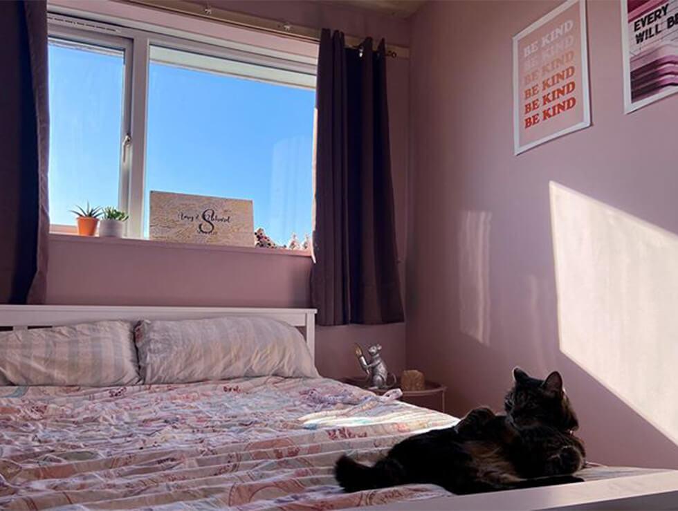  pink bedroom with a tabby cat on the bed