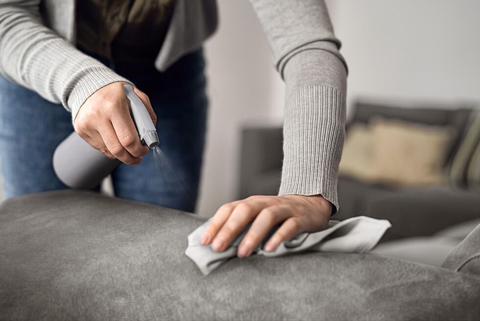 Applying cleaning solution to the velvet sofa