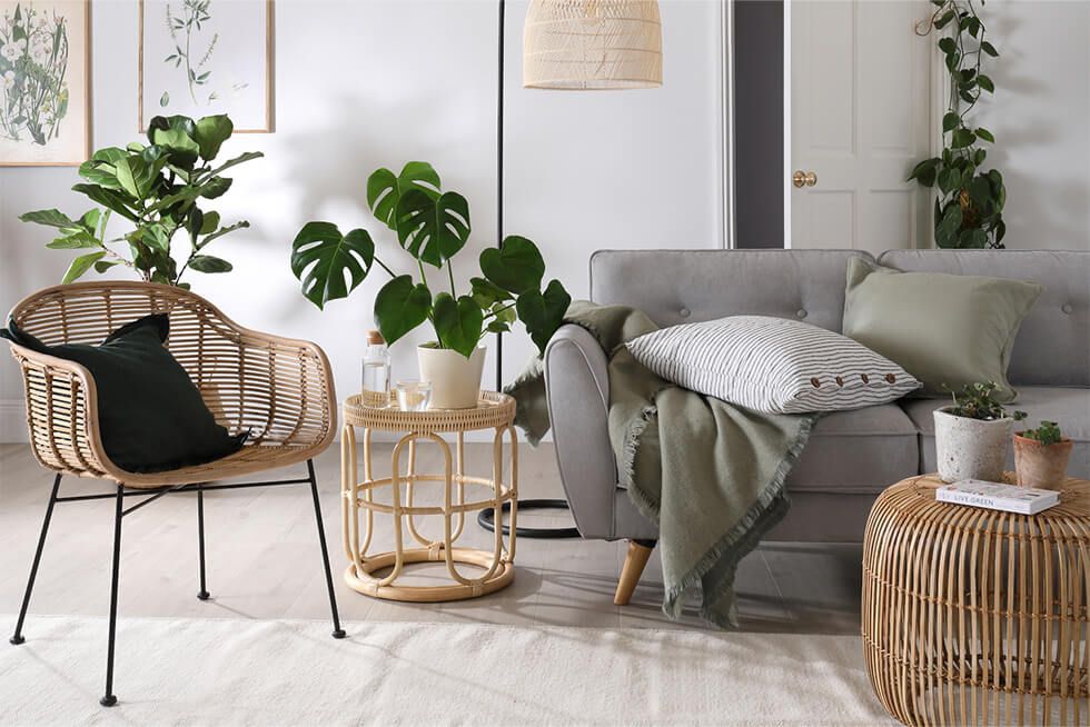 A relaxing living room with a grey sofa, rattan armchair and potted plants