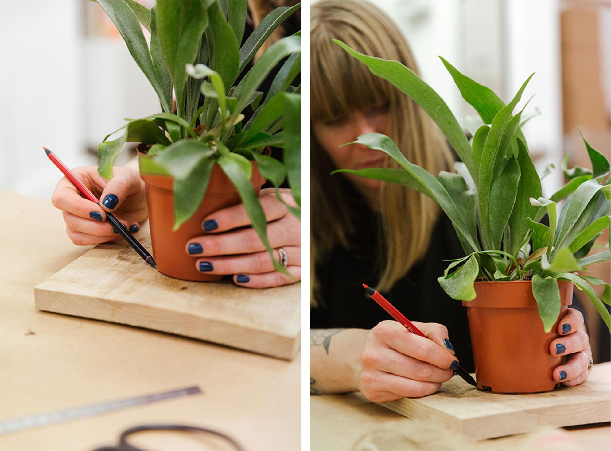 Tracing the outline of the plant pot on the wooden board with a pencil
