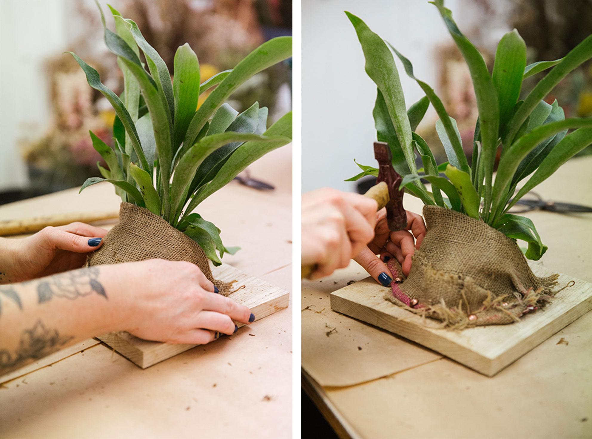 Wrap hessian fabric around the plant then use upholstery nails to fasten it