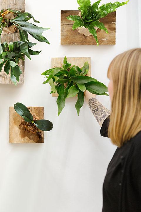 Nail the boards into position on the wall