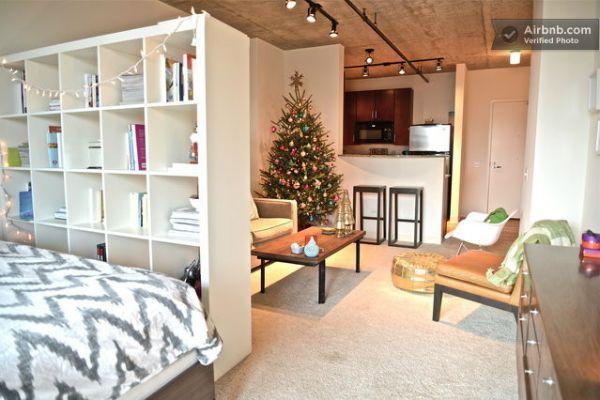 Bedroom and living room separated by bookshelves