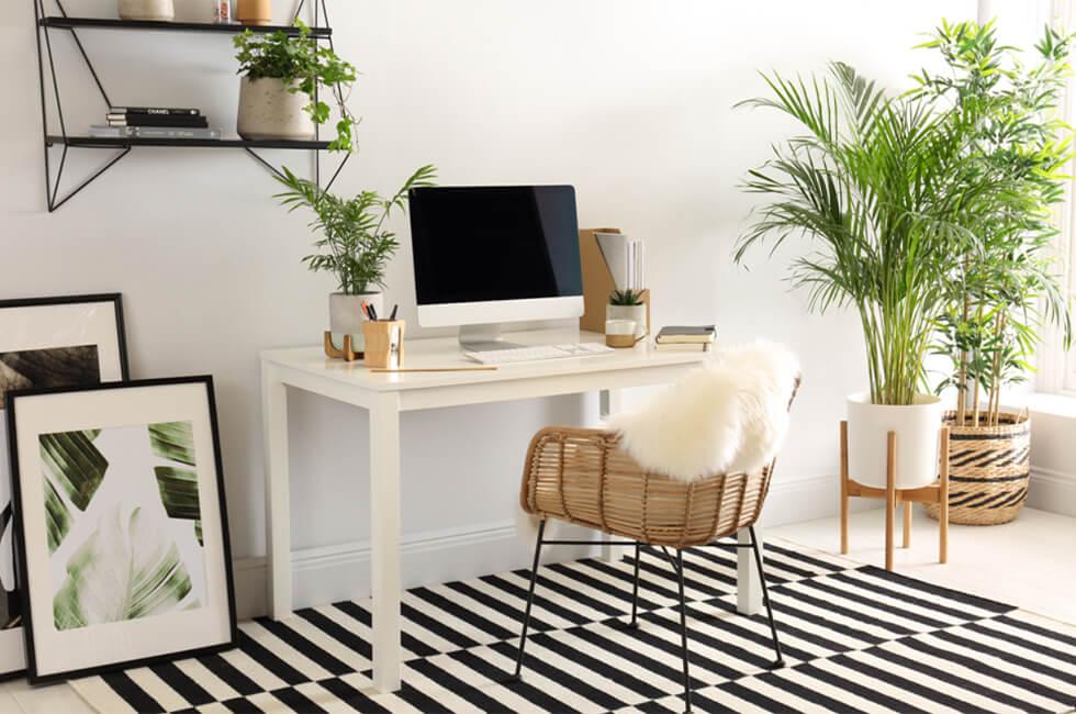 Home office with white desk and indoor plants