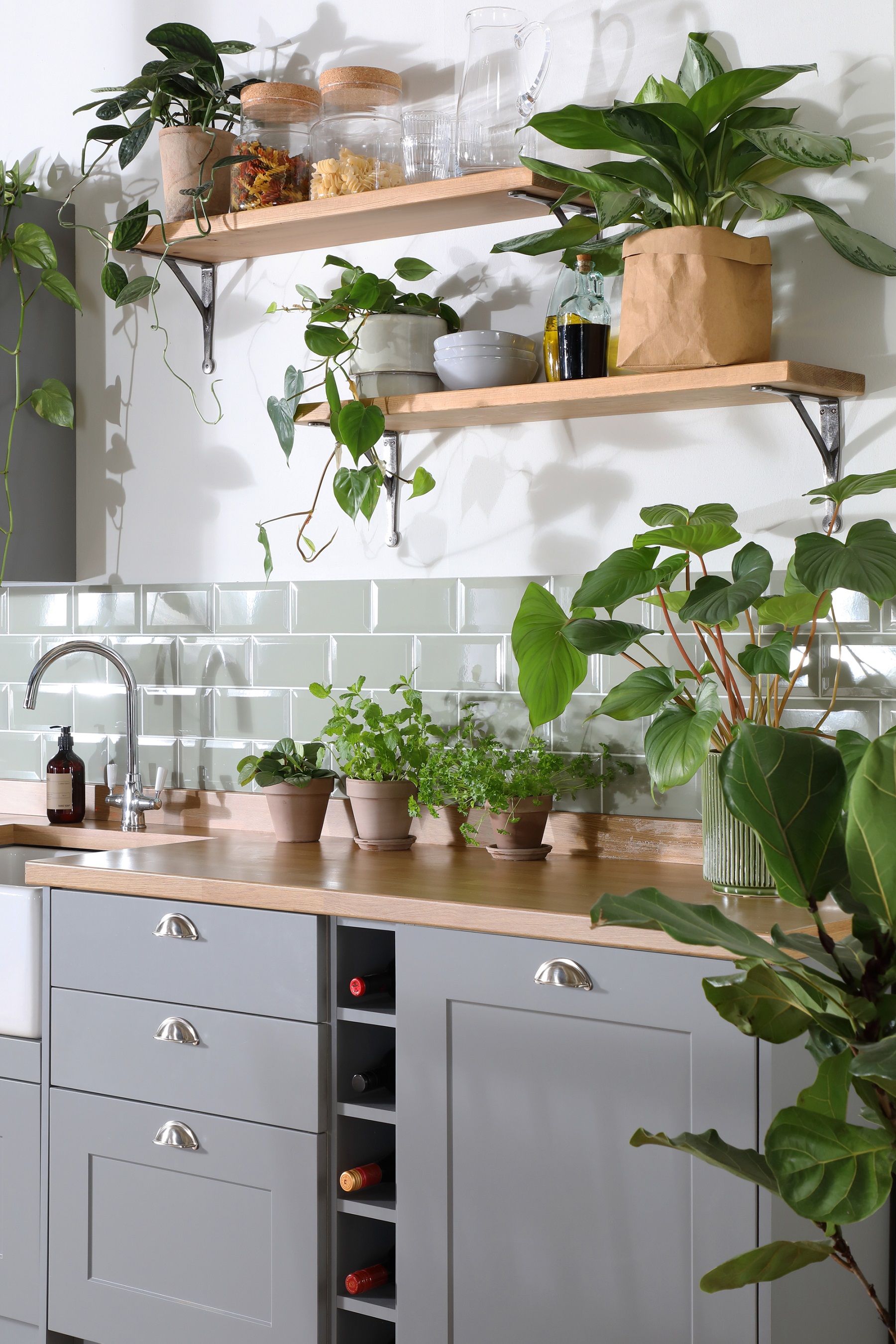 Kitchen island with many indoor plants and greenery