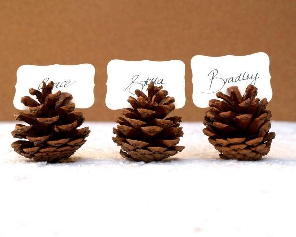 Pinecone nameholders