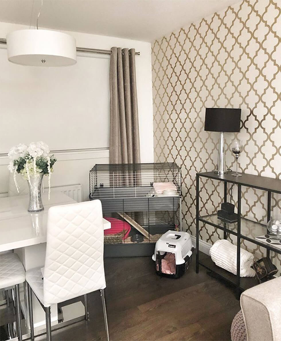 pet cage in an open plan living space