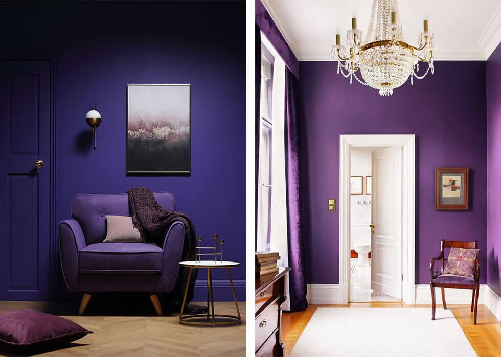 Rooms with deep ultra violet walls and matching furniture.