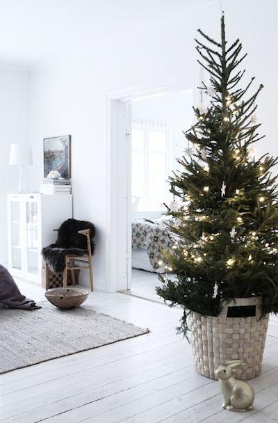 White room with a Christmas tree