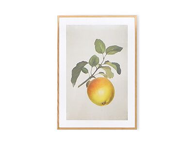 Apple Poster - Desenio