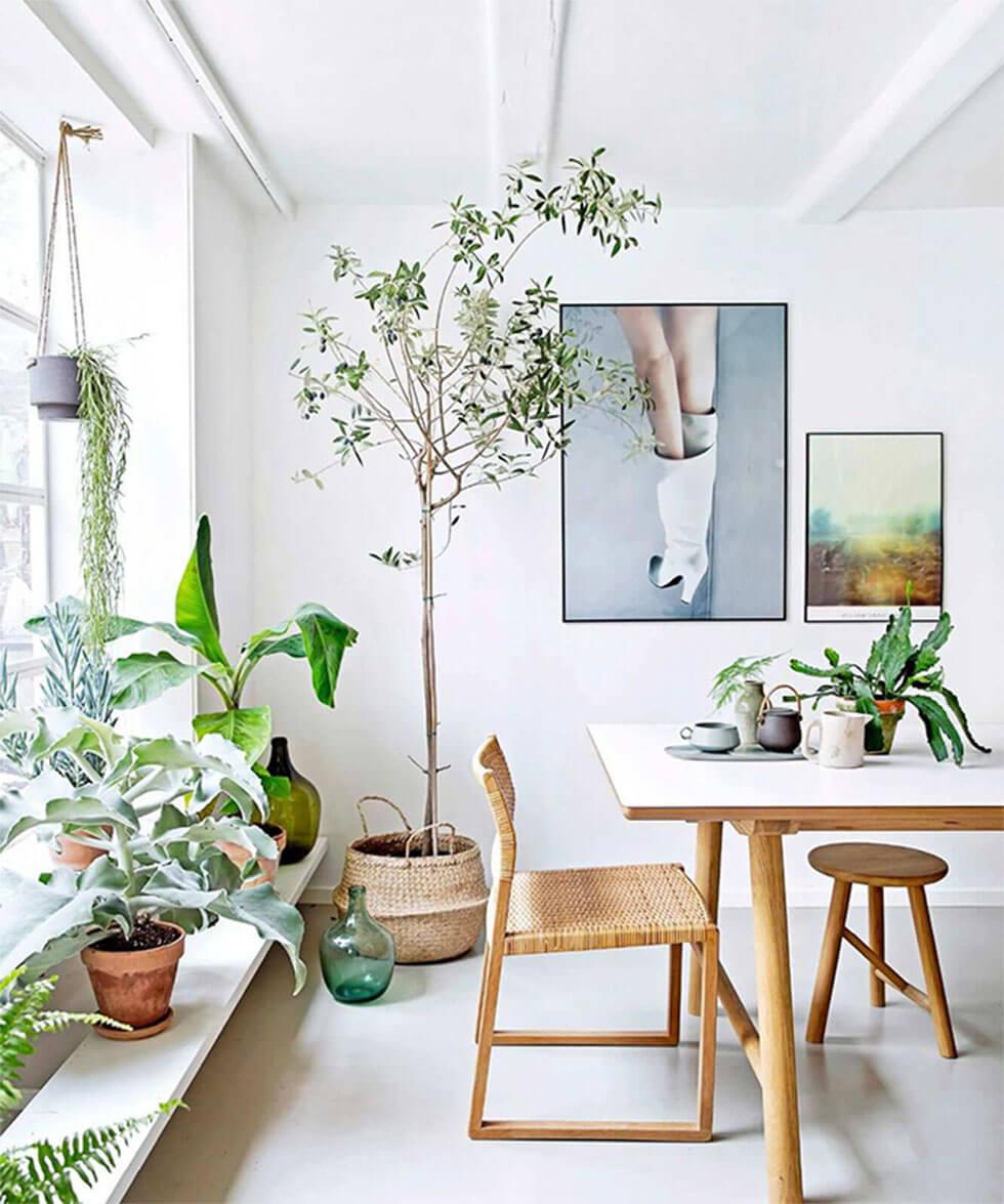 All white dining room with lots of indoor plants, wooden furniture and rattan baskets