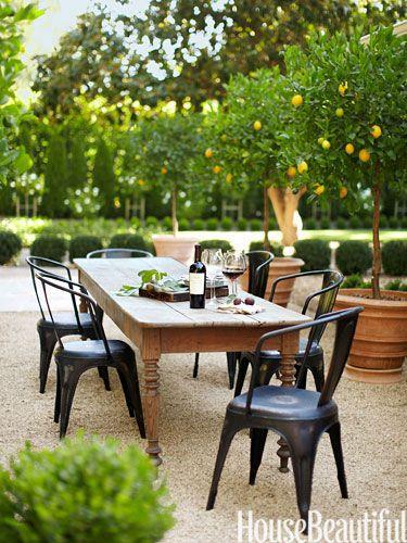 Outdoor dining area with wine and trees.