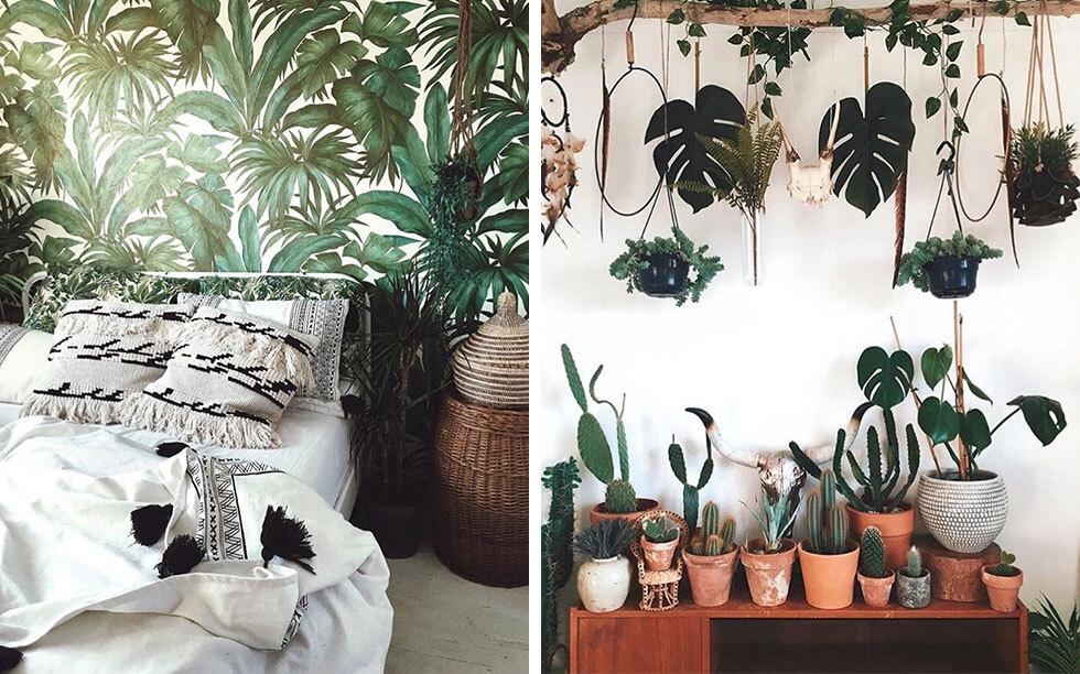 A collage of interiors with indoor plants.