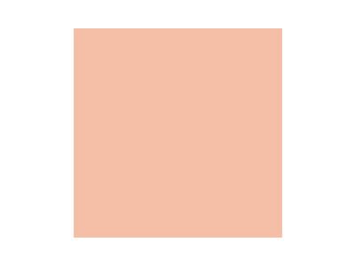 DDulux Wall Colour - Coral Canyon 3