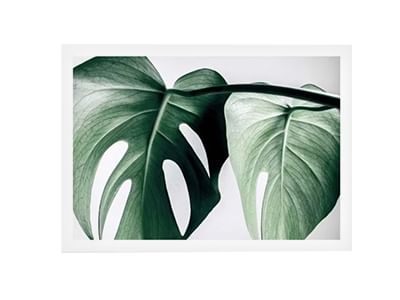 Monstera Two Poster - Desenio