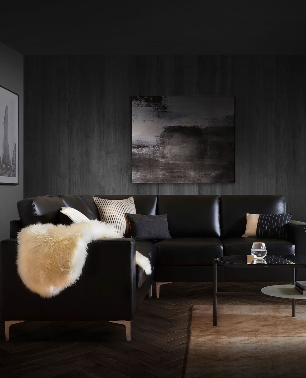Black leather sofa in black living room